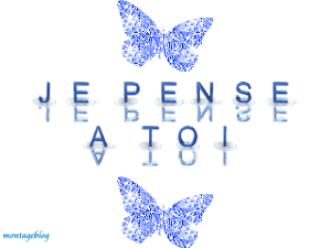 Gif animé je pense à toi papillons